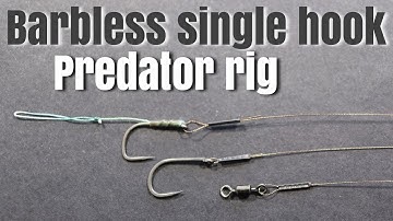 Barbless Single Hook Predator Rig