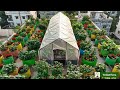 Terrace Gardening
