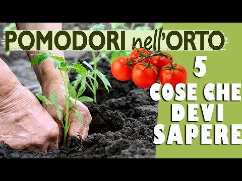 Video: Informazioni su quando piantare il tuo orto
