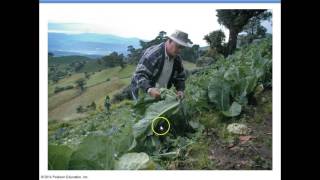 APES CHAPTER 6 ETHICS, ECONOMICS & SUSTAINABLE DEVELOPMENT #