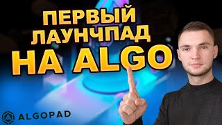 ALGOPAD - Первый лаунчпад на Algorand - Whitelist + обзор