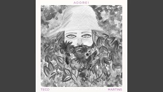 Video thumbnail of "Teco Martins - Adorei"