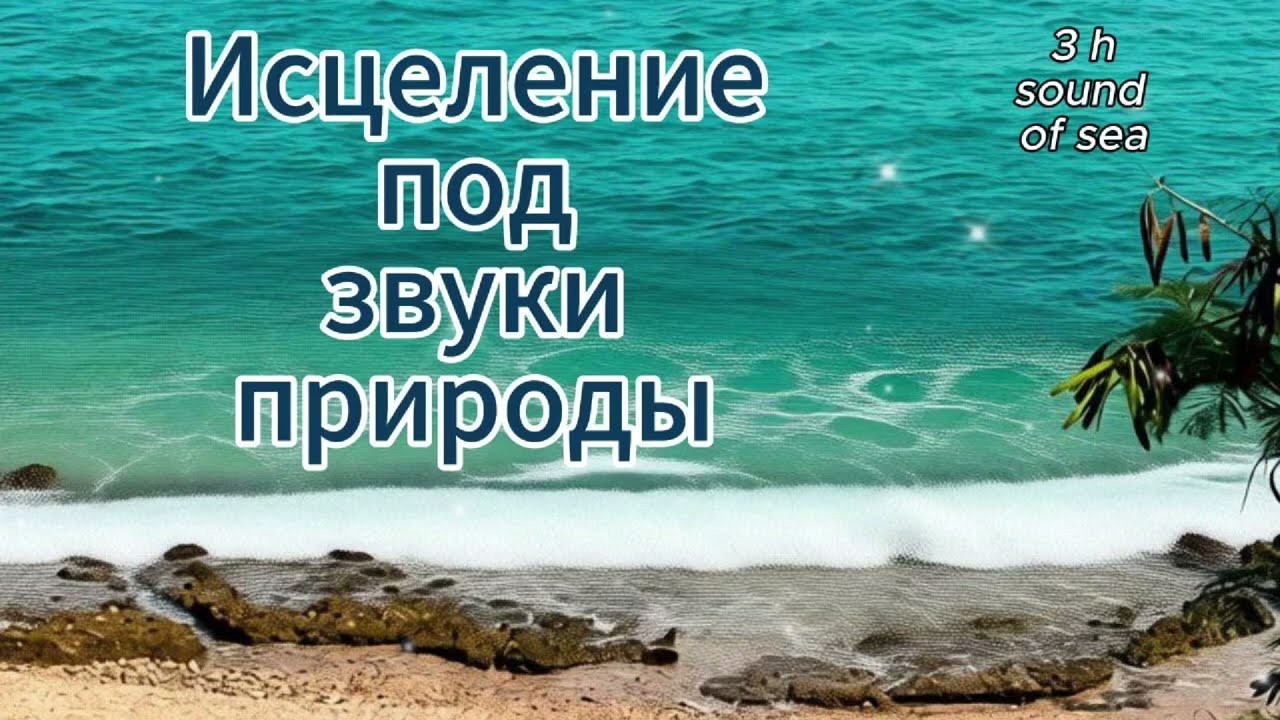 Исцеление под звуки природы и шум океана.
