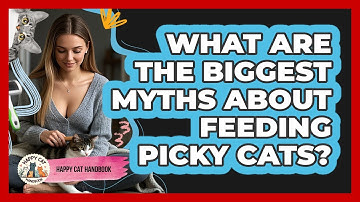 What Are The Biggest Myths About Feeding Picky Cats? - Happy Cat Handbook