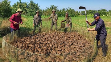 Nhóm Người Đàn Ông Sốc Khi Lần Đầu Tiên Bắt Được Ổ Chuột Khủng Hàng 100 Con