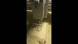 IMG 0322