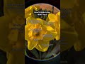 Newmusic Singer Song Ytshorts Feedshorts Newmusic Singer Song Ytshorts Feedshorts