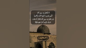 سورة النساء الآية ٧٤ بصوت الشيخ محمد صديق المنشاوي