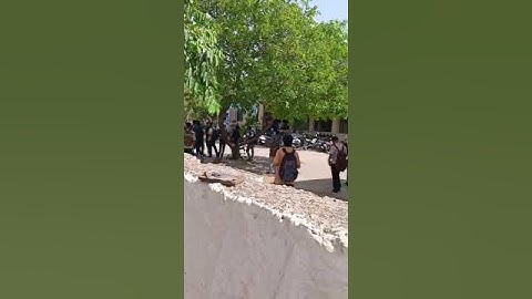 RSMSSB LDC document verification centre Jaipur #motivation #ldc2024 #jaipur #rsmssb #unacademy