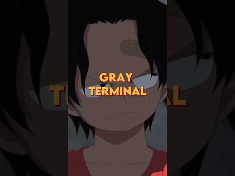 Gray Terminal #onepiece #anime #shorts