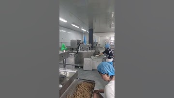 how to make sugar cube？sugar BRICKS making machine