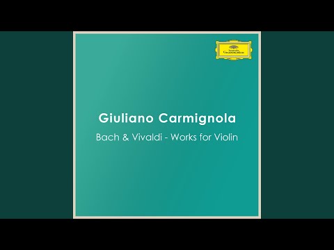 Watch Vivaldi: Concerto for Violin And Strings in E Minor, RV 281: II. Largo on YouTube