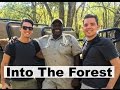 Mountain & Forest andBeyond Phinda Game Reserve Safari | South Africa - VLOG #7