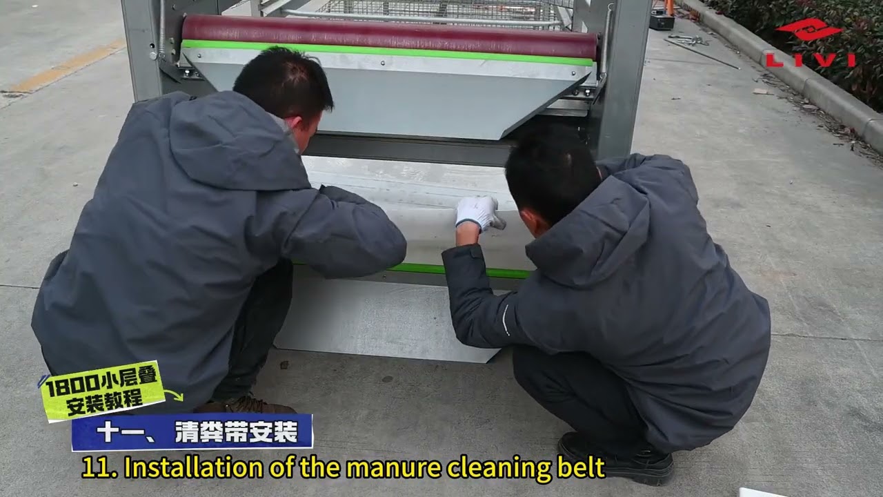 How to Install an 1800 Model Automated H Type Poultry Cage System | LIVI Machinery