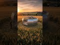 Building a Futuristic Pod House in the Middle of a Wheat Field 🌾 | Satisfying Timelapse