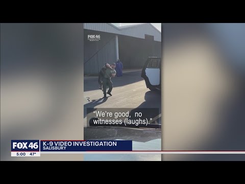 ‘Not appropriate’: Experts weigh in on Salisbury K-9 officer video