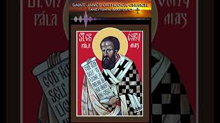 Antiochian Orthodox Sunday Homily for March 31, 2024 - 2nd Sunday of Great Lent: St Gregory Palamas