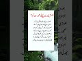 #shorts #urud #shairyi #urdupoetry #queen