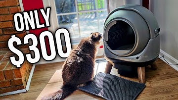 How Good is a $300 Self-Cleaning Cat Litter Box? ZHMZ G1 Review