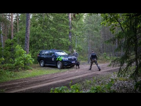 Vidéo: OVNI Repéré Au-dessus De La Frontière Russo-finlandaise - Vue Alternative