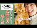 【購入品紹介with猫】大好き富澤商店！料理.パン作り.お菓子作り好き集合です！