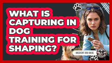 What Is Capturing In Dog Training For Shaping? - Obedient Dog Guide