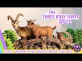 The Three Billy Goats Gruff | Fairy Tales | Fairy Tales For Children