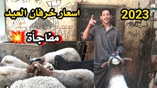 اسعار خرفان عيد الاضحي 2023 و فواكه اللحوم في مصر من قلب السوق مفاجاة غير متوقعة 💥