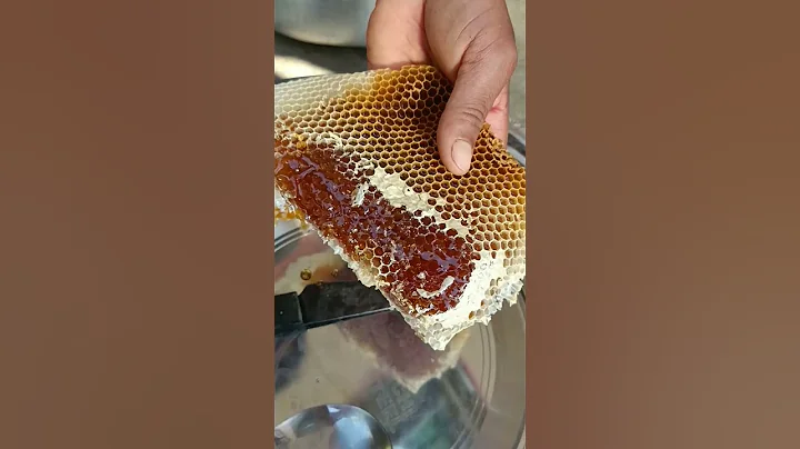 100 % pure honey 🍯🐝 #shorts #purehoney #honeybees #shortsfeed