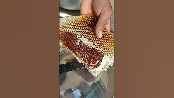 Thumbnail of 100 % pure honey 🍯🐝 #shorts #purehoney #honeybees #shortsfeed