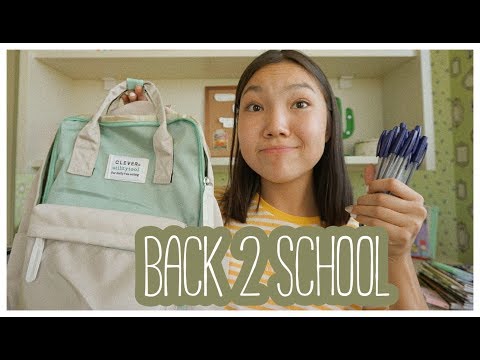 back to school 2019 // покупка канцелярии к школе, в ниш