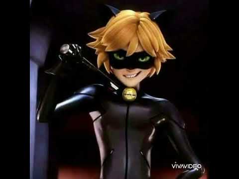 اغنية والله شكلي حبيتك علي الدعصوقة والقط الاسود