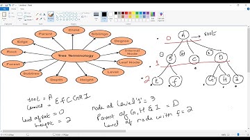 Tree Terminologies- parent,root, siblings,height,depth, ancestors, decendents,leaves,size,level,