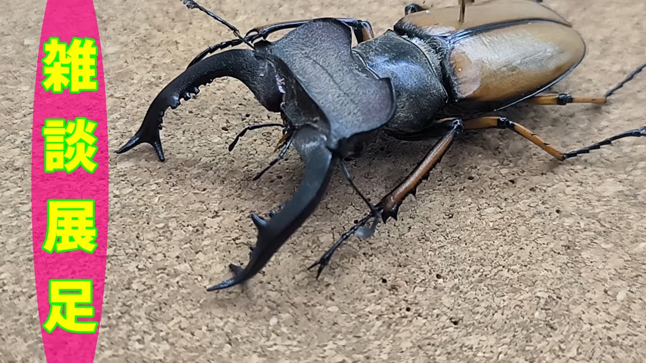 大晦日に自分の成長を振り返る