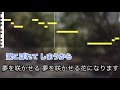 青木美保 / 大輪の花~第二章~【カラオケ】