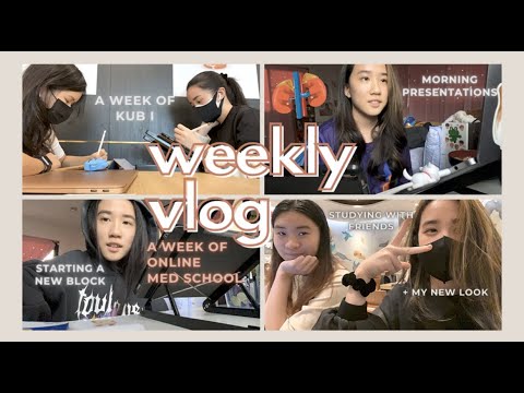 study vlog: starting the urinary system block 👩🏻‍⚕️| ชีวิตเรียนออนไลน์นิสิตแพทย์จุฬาปี 2 👩🏻‍💻| pdpcs