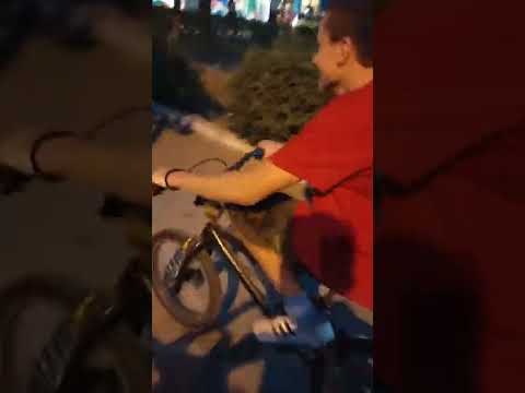 ΗΛΙΘΙΟ ΠΑΙΔΙ ΜΠΕΡΔΕΥΕΙ