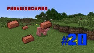 #20 Minecraft - Throwable Bricks Mod Review (1.2.5)