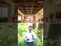 லைட் வெயிட், ஆனால் மிகுந்த பலம்!#jlu #jluceilingtiles #ceilingtiles #customerreview #tamil #ceiling
