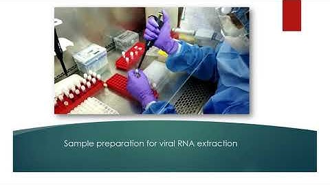 COVID-19 Diagnostic Facility, MRHRU, Dahanu