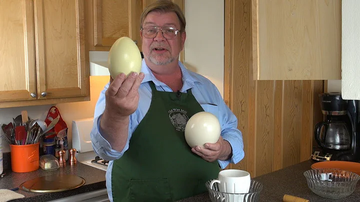 Exotic eggs -- Rhea egg -- fried