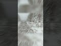 Mesmerizing Rime Ice in Hechi