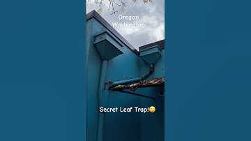 Secret Downspout Trap!!!😀 #diy #gutters #homeimprovement #rain #home #gutterrepair #diygutters