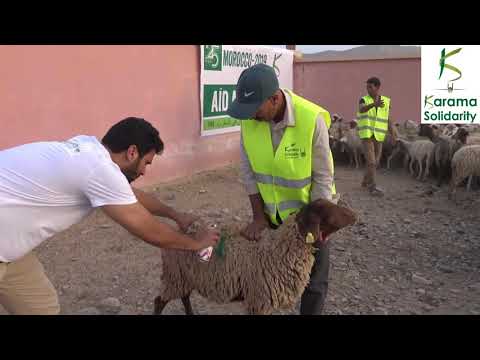 KURBAN BAYRAMI 2019 / Fas :  cömertliğinizin tesiri