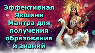 Эффективная Якшини Мантра для получения образования и знаний