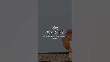 قران كريم بصوت جميل راحة نفسية #اكسبلور #quran #المصحف #قران #الرحمن