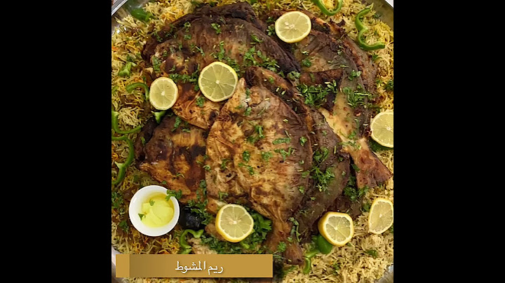زبيدي