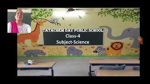 Class-4,Science,Ls-6.Insects,Topic- Useful insects,Date-30/09/21