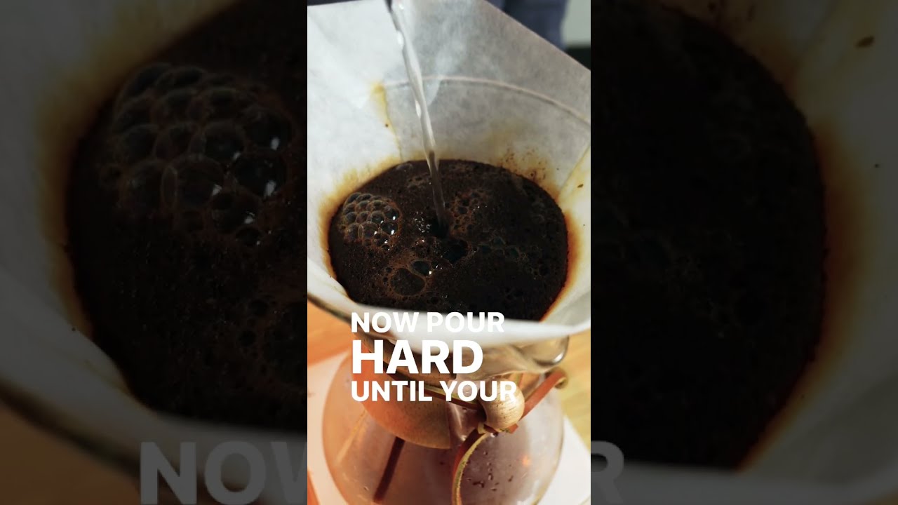 Chemex Pour Over Brew Guide Shorts Coffee Pourover Howto Barista