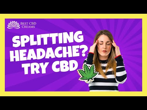 High Peak Cbd Gummies 2